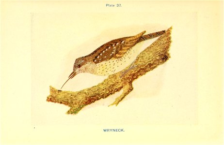 n172_w1150