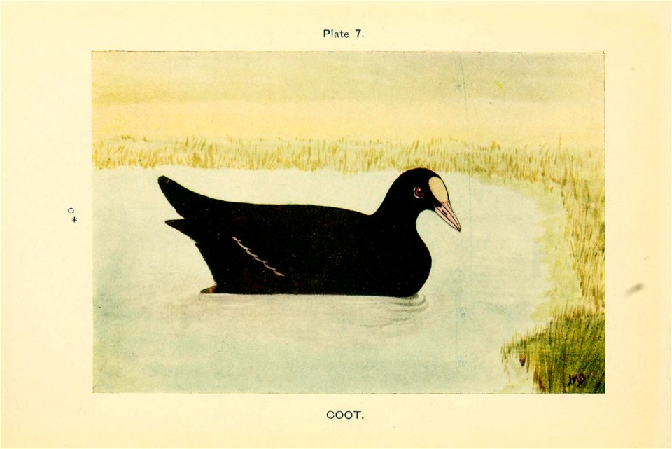 n37_w1150