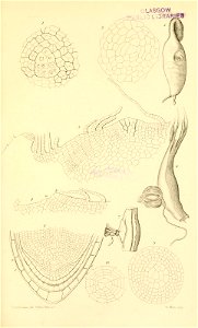 n564_w1150