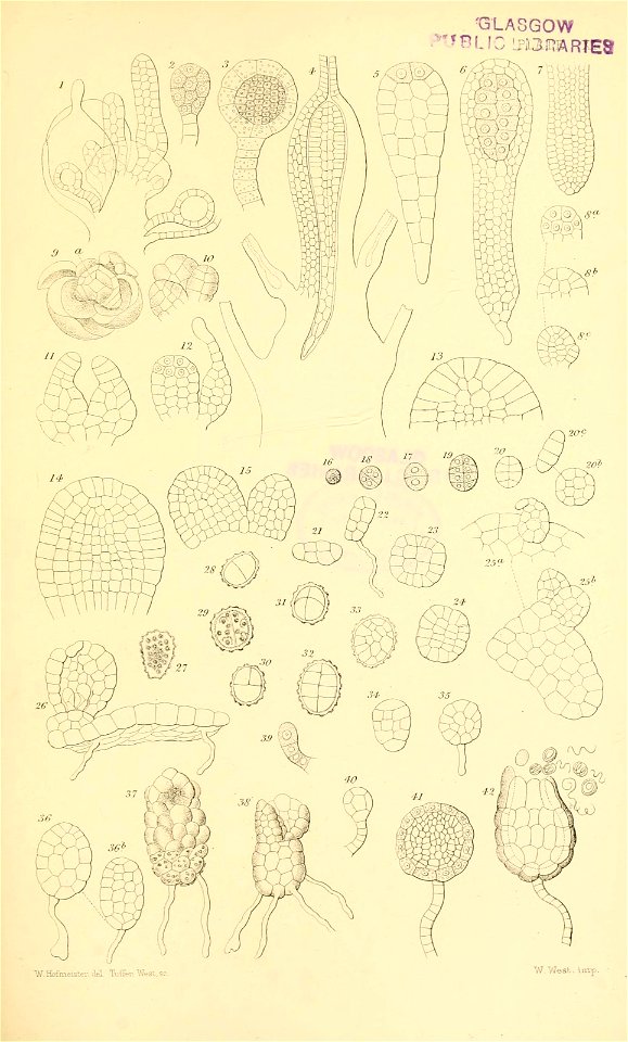 n534_w1150