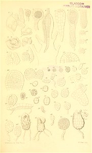 n534_w1150
