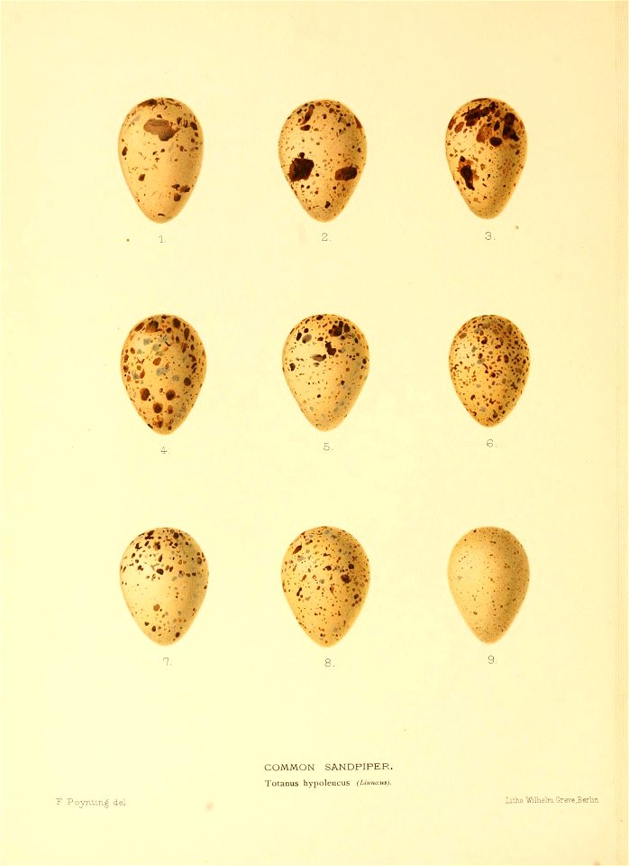 n359_w1150