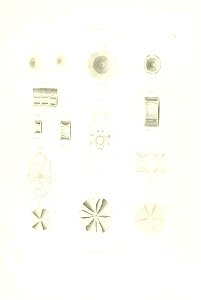 n130_w1150