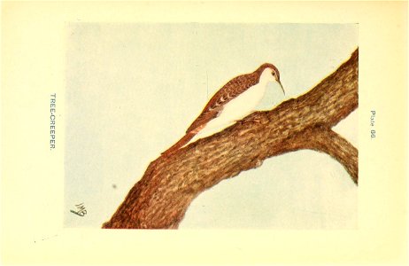 n290_w1150
