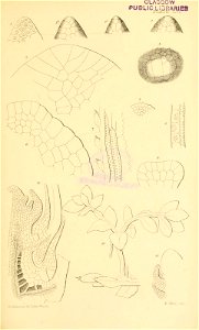 n622_w1150