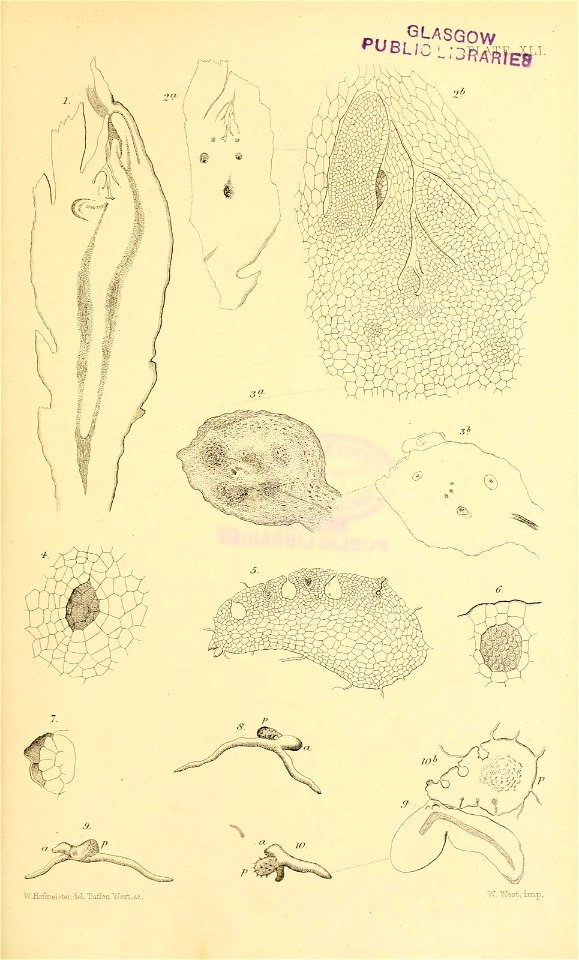 n592_w1150
