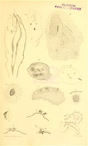 n592_w1150