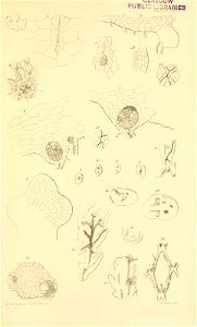 n562_w1150