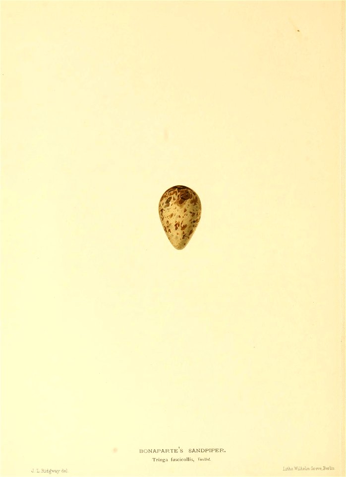 n267_w1150