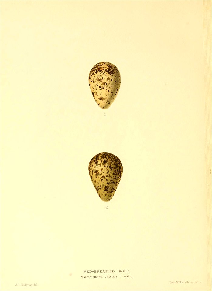 n161_w1150