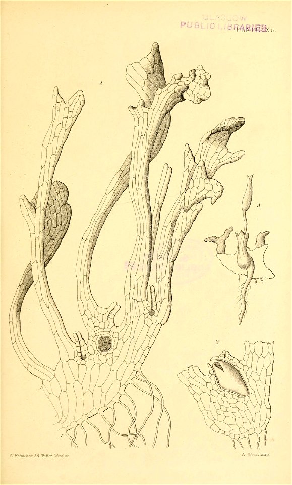 n590_w1150