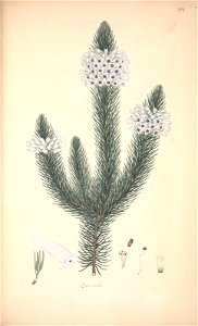 n113_w1150