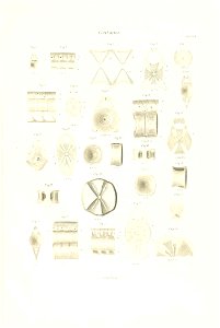 n182_w1150
