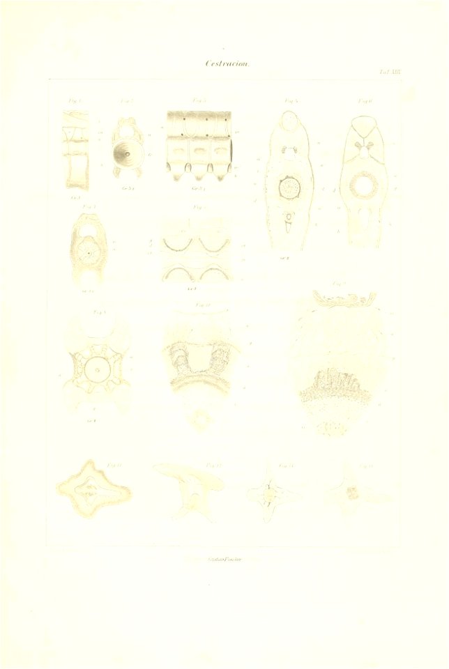 n122_w1150