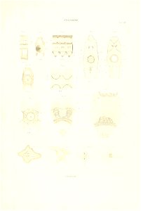 n122_w1150