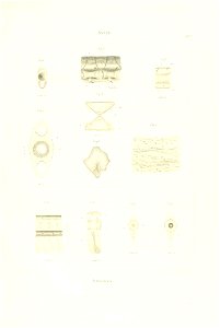 n58_w1150