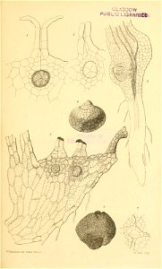 n588_w1150