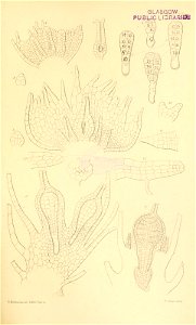 n528_w1150