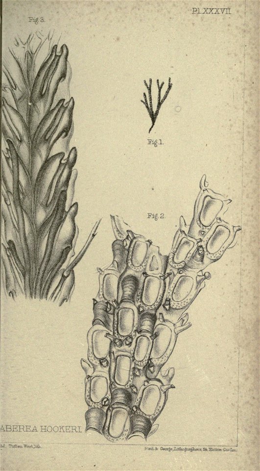 n350_w1150