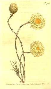 n195_w1150