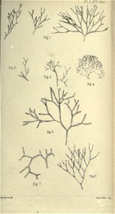 n408_w1150