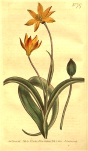 n69_w1150