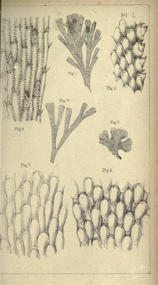 n376_w1150