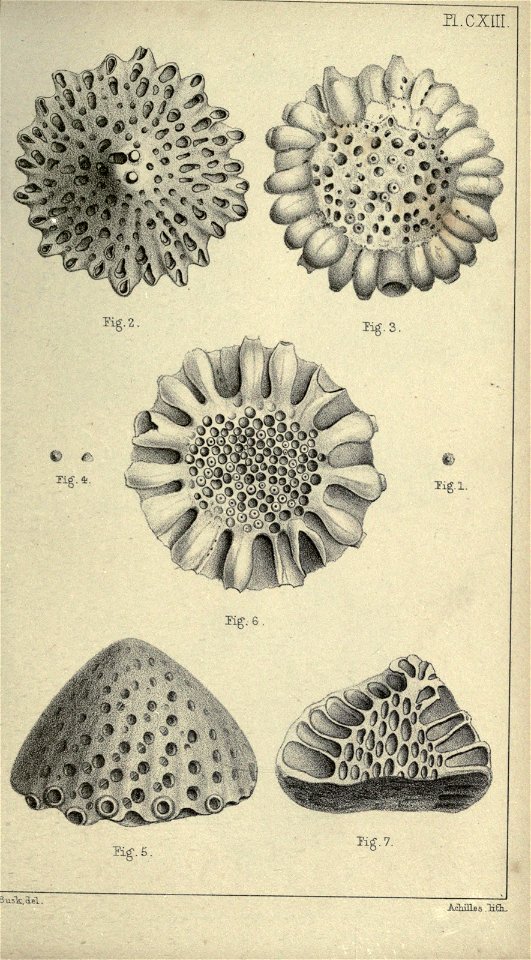 n166_w1150