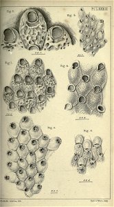 n106_w1150
