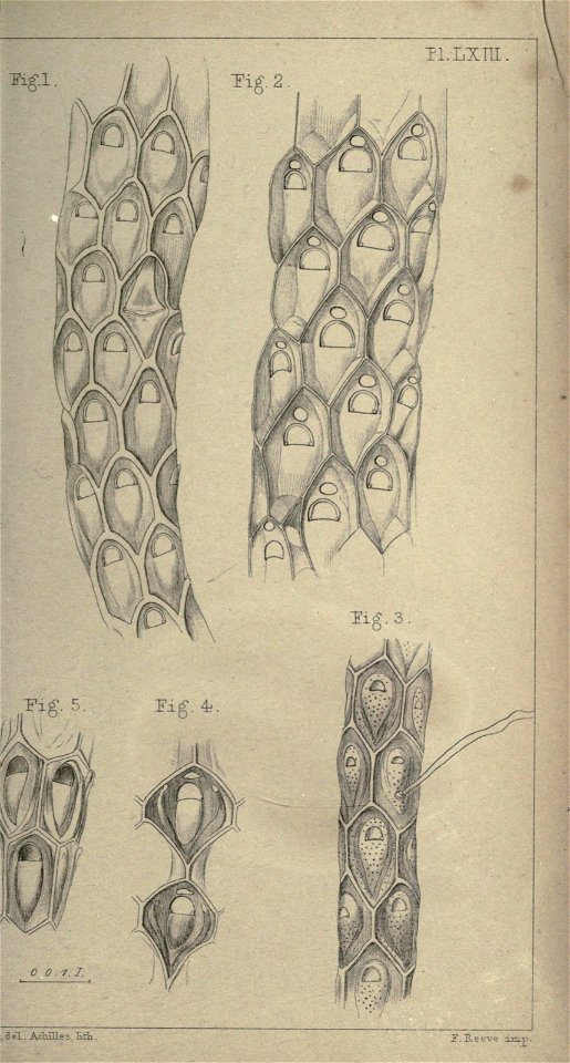 n402_w1150