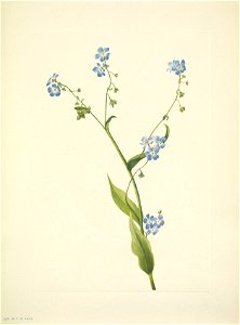 n178_w1150