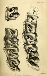 n408_w1150