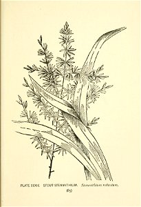 n138_w1150
