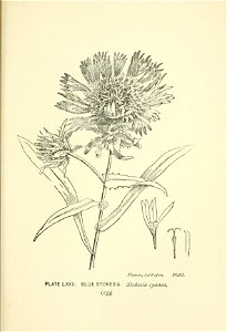 n210_w1150