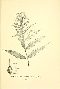 n176_w1150