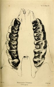 n502_w1150