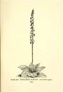 n280_w1150