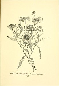 n208_w1150