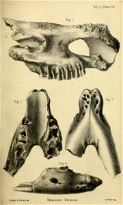 n492_w1150