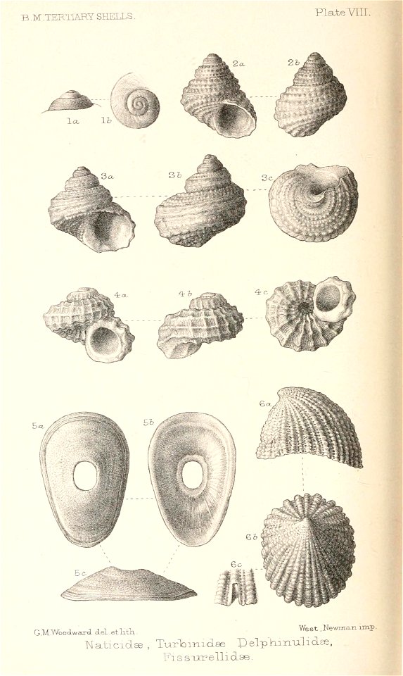n467_w1150