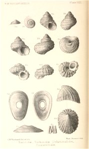 n467_w1150