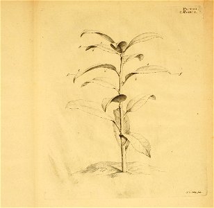 n372_w1150
