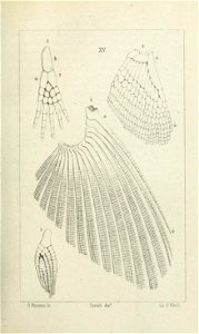 n266_w1150