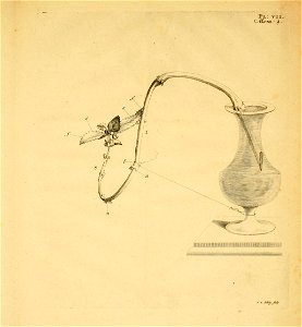 n370_w1150