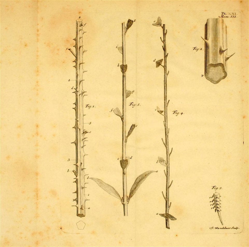 n398_w1150