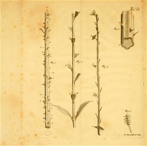 n398_w1150