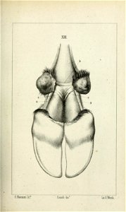 n238_w1150