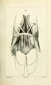 n228_w1150