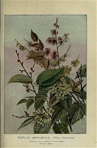 n180_w1150