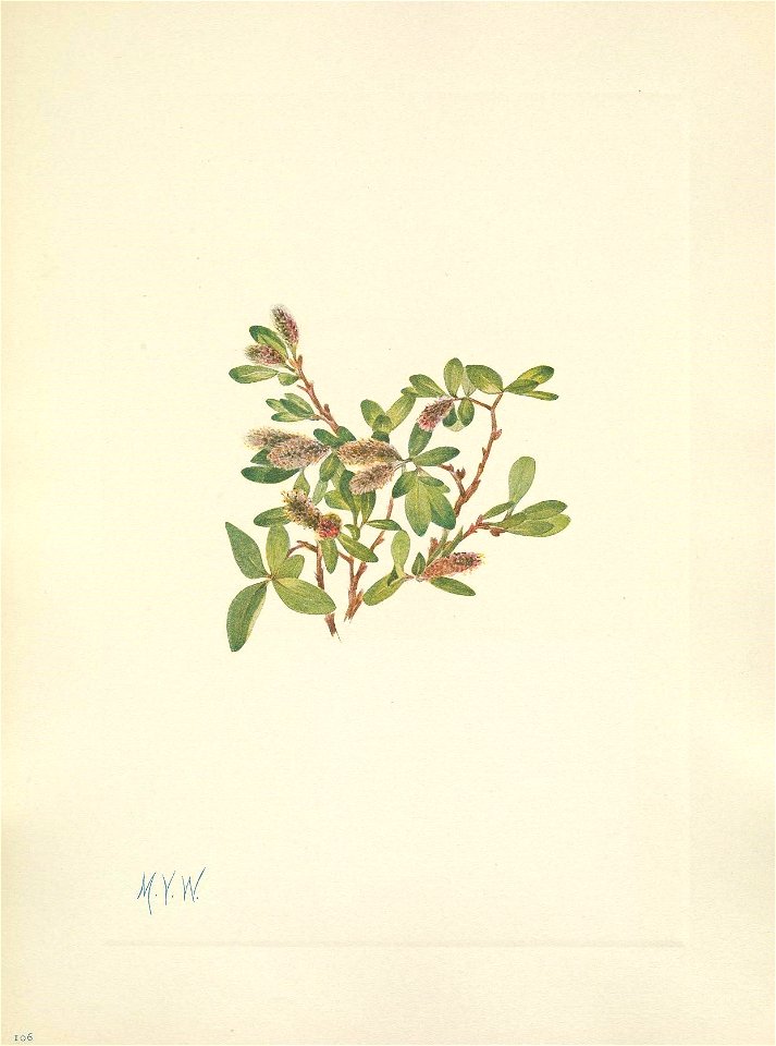 n154_w1150